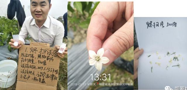 杀虫更彻底：唑虫酰胺新型杀虫杀螨剂震撼上市！6