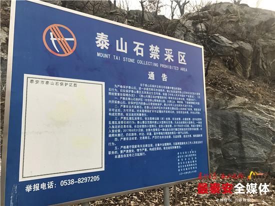 隆德制砂机市场价格