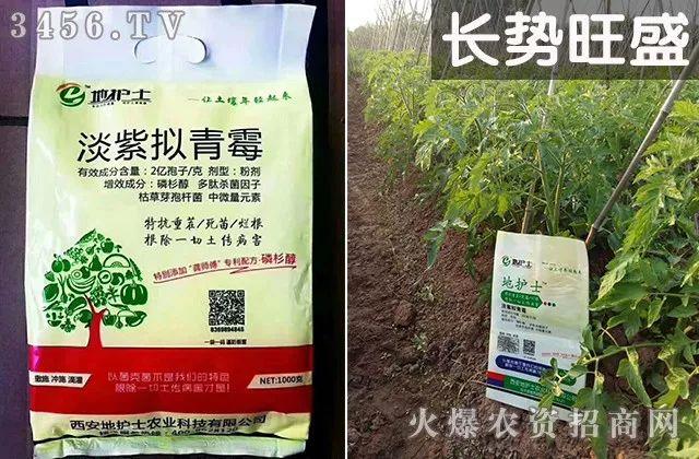 以菌克菌，特抗重茬！专利配方，甲级服务，死苗、烂根一扫尽！3