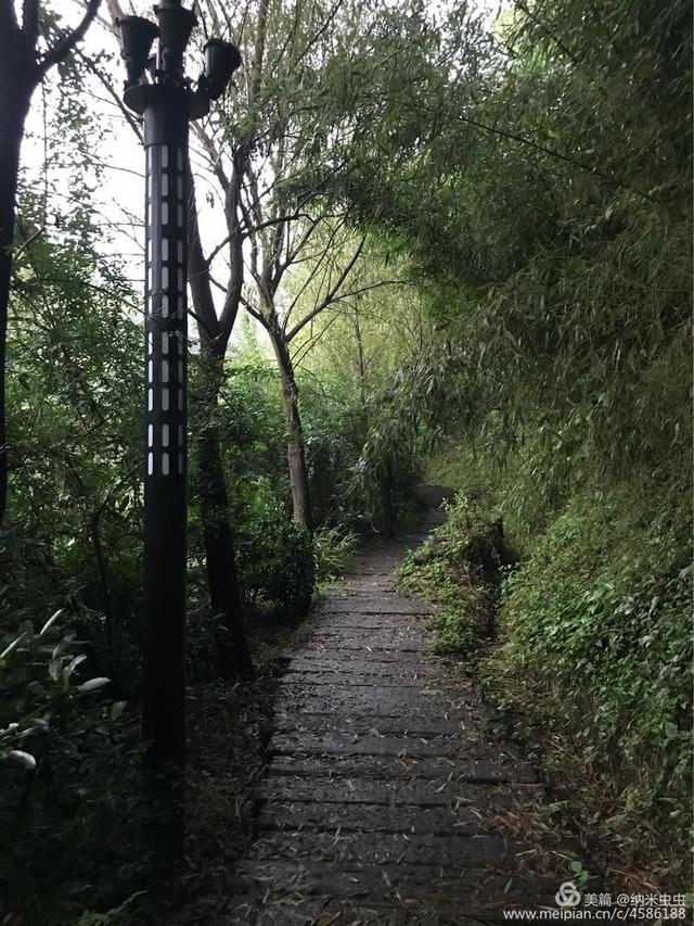 娄底玄武岩圆锥破碎机