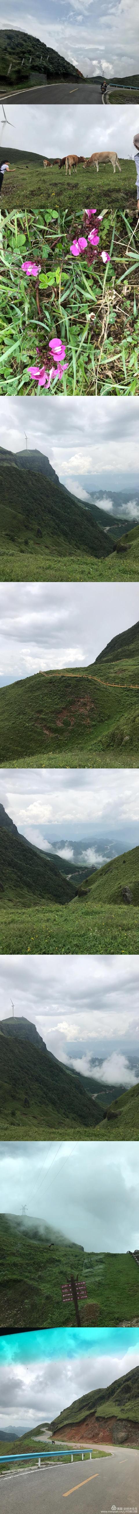 娄底玄武岩圆锥破碎机