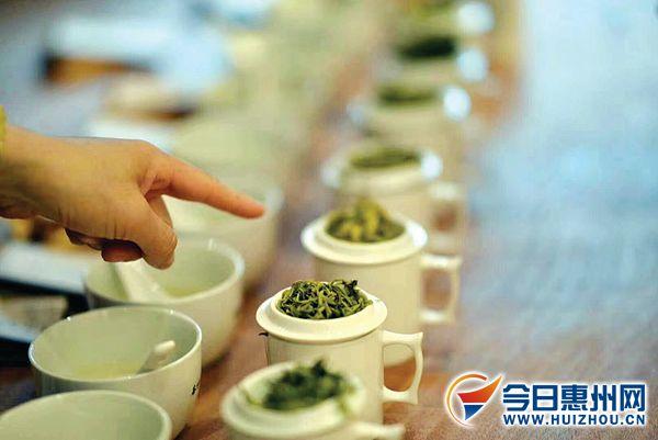 惠州惠阳淡水品茶图片