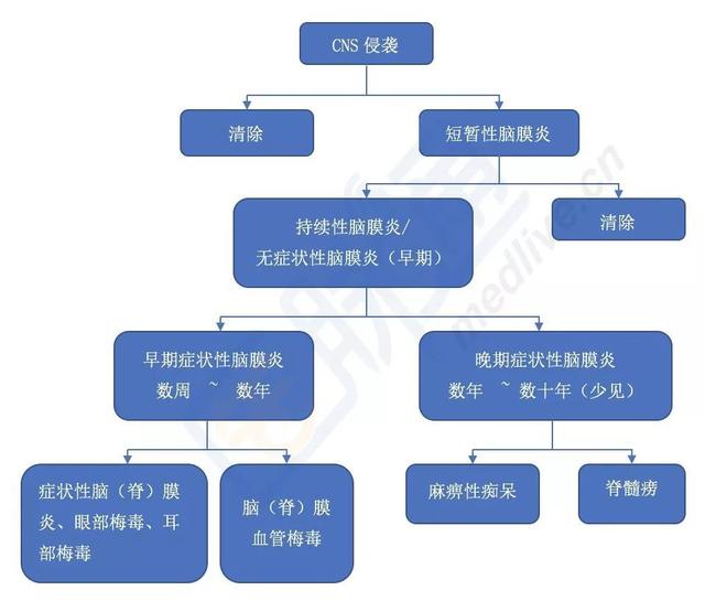 血液检查梅毒结果45是什么意思