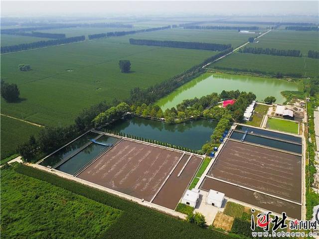 伟力达小型破碎机