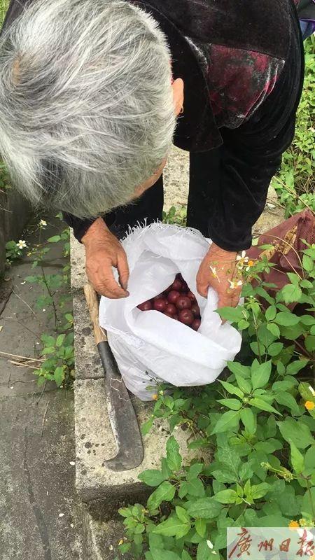 韶关轮式洗砂机厂