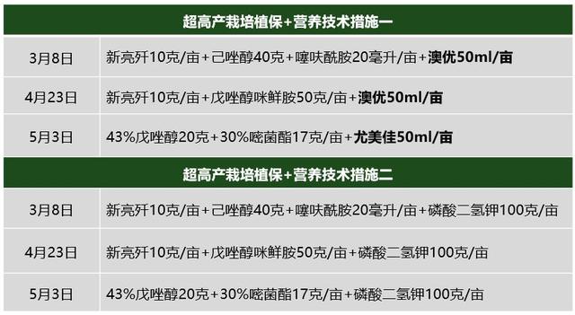 亩预增94公斤，增产17.8%！ 埃尔夫霍尚澳优12元素掀起新乡小麦超高产风暴！4