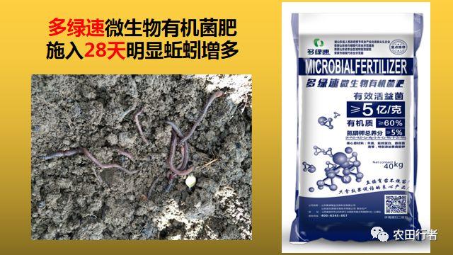 **！阿维菌素的27个复配方法都在这了