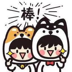 冠县瑞展路桥工程好吗