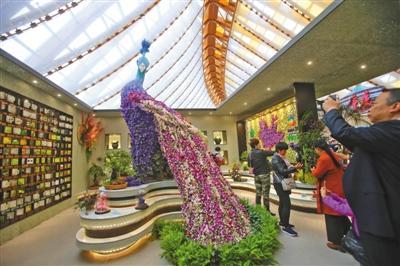酒店工程展康乃馨展厅制作