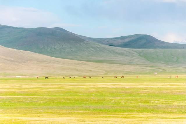 广式老吴奶香身体乳推荐
