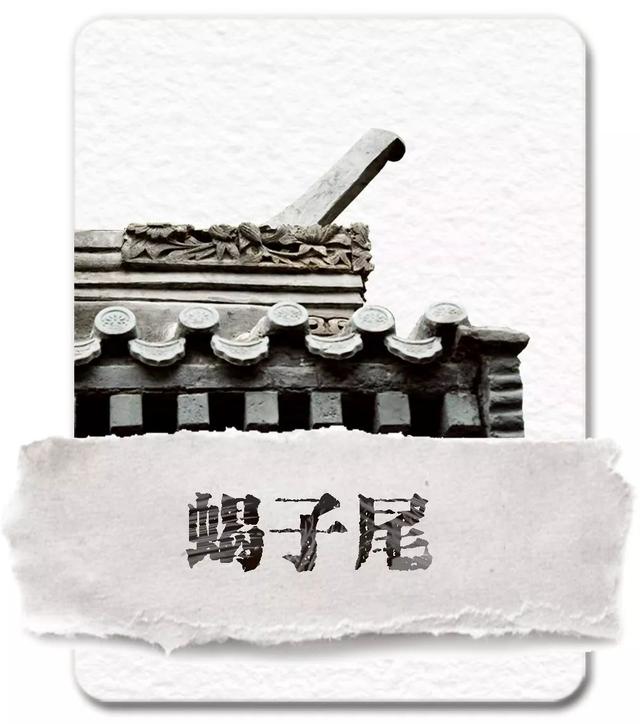 工程展舍什么意思