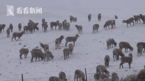 澳大利亚下雪吗-几月份下-