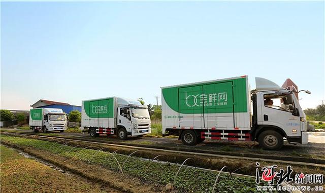 邢台电商平台有哪些「邢台新合作电子商务有限公司」