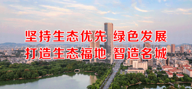 马鞍山负压过滤机价格