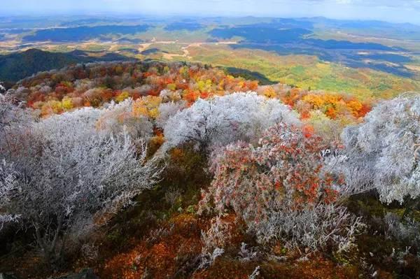 四方頂高山植物園坐落在長白山系龍崗山脈,海拔1233米,是龍崗火山群中