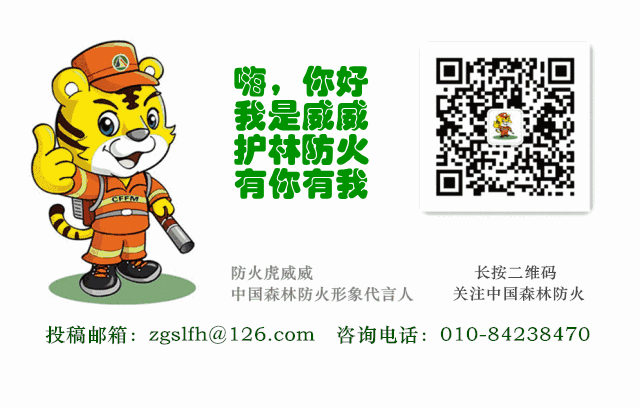 2017中国国际林业机械展