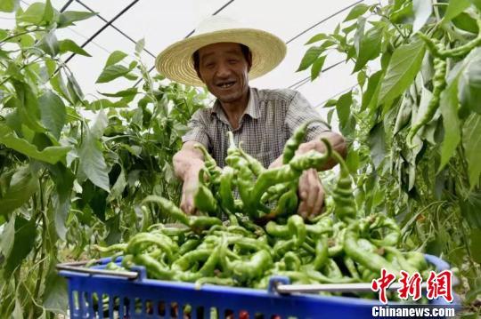 甘肃天水70年发展变迁：天蓝宜居 民众“丰衣足食”