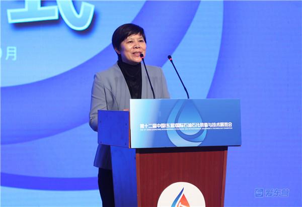 蔡隆展中国石油和石化工程研究会