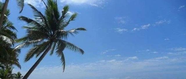包含万宁破碎机厂家的词条