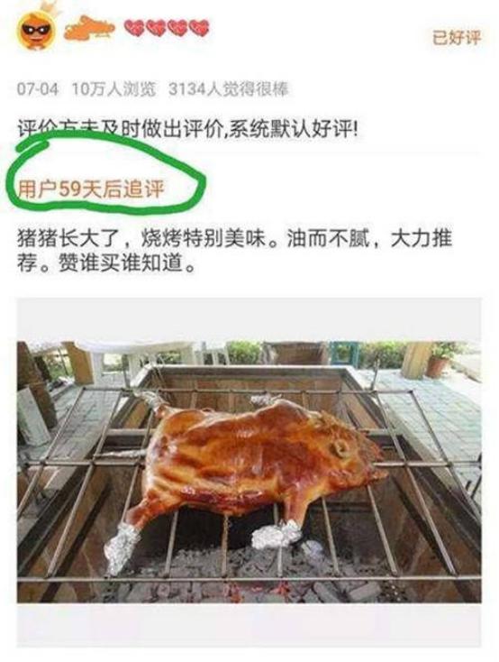 小香猪多少钱一只