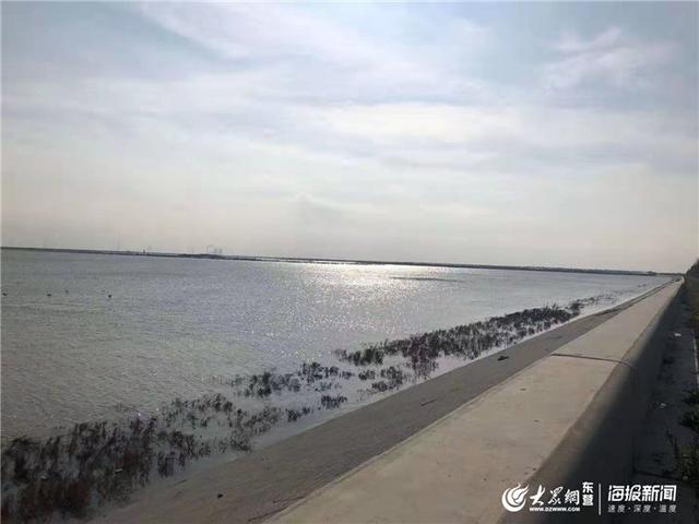 广南洗砂机厂商
