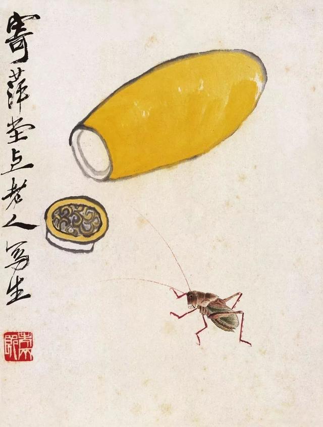 蝈蝈的特点