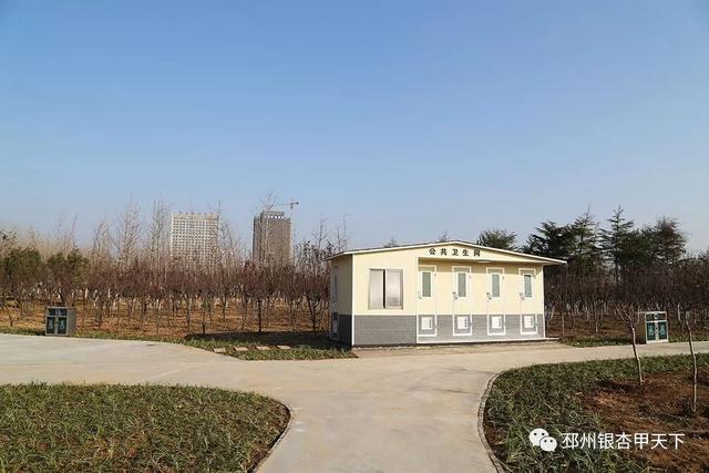 邳州展鸿绿化苗木工程