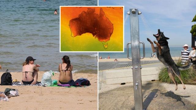 40.9℃！澳大利亚迎来史上最热一天，可能还要“加热”