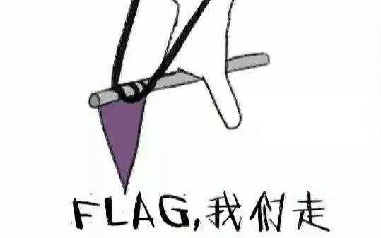 flag是什么意思中文