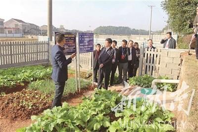 12件民生实事指标任务如期完成 晒一晒，2019的幸福“账单”