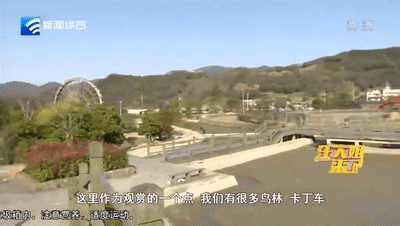 展茅翁家岙民居点道路工程招标公告