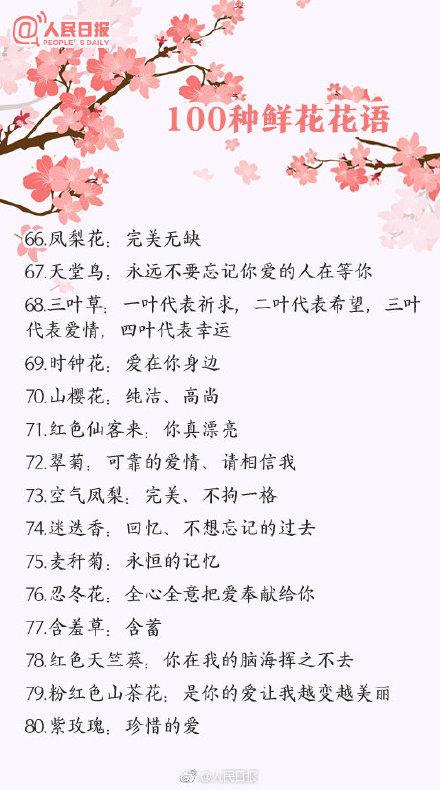 花的寓意 花的寓意（花的寓意和图片） 生活