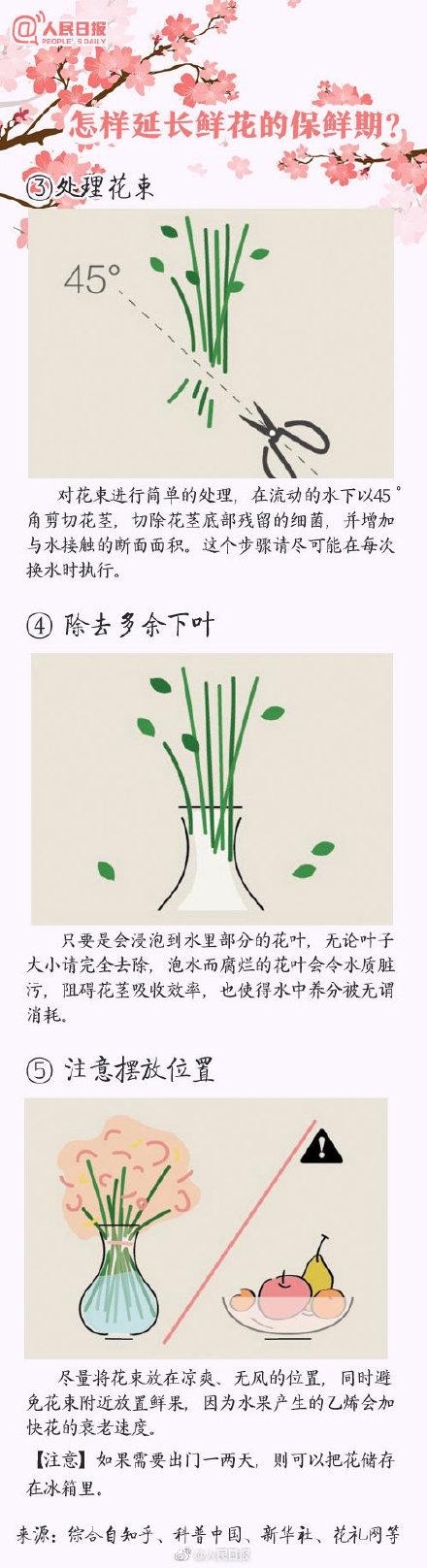 花的寓意 花的寓意（花的寓意和图片） 生活