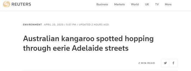 澳大利亚阿德莱德市区因疫情格外冷清，袋鼠上街狂奔