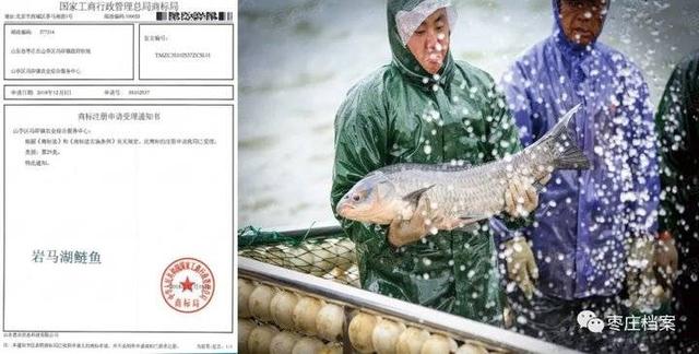 枣庄陶瓷过滤机厂