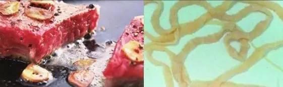 小孩鸡皮疙瘩白皮