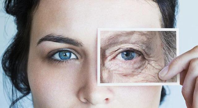 科学家们已经在多种动物模型中改变衰老的进程,延缓与衰老相关的机体