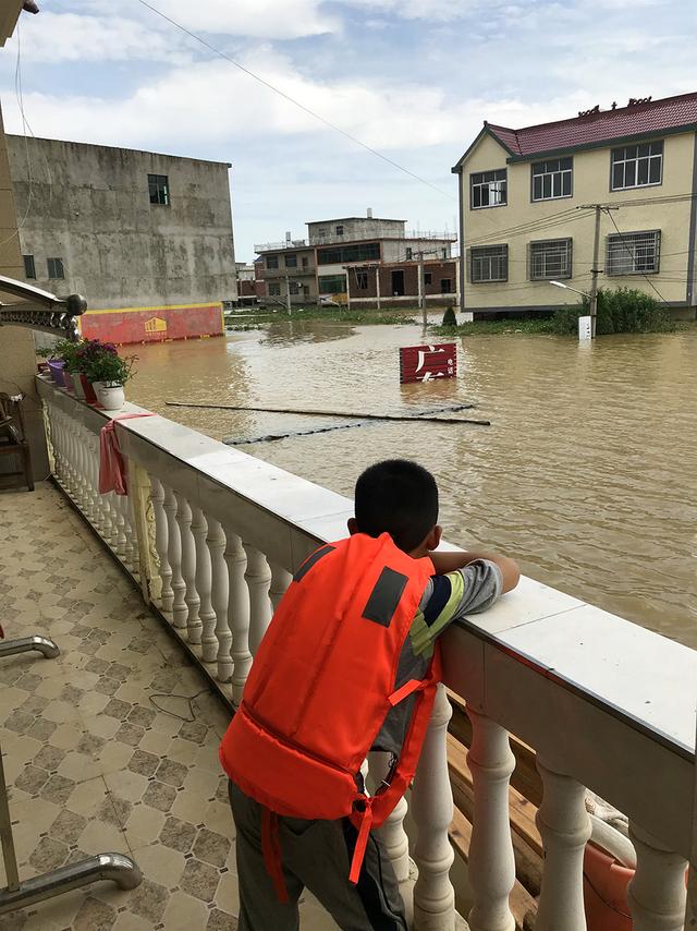 台州建筑模板破碎机厂家