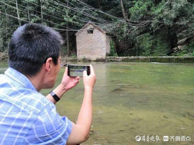 泉水的资料