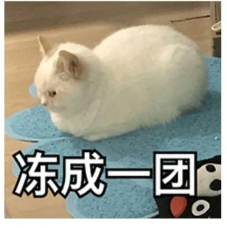 为什么总觉得冷经常起鸡皮疙瘩