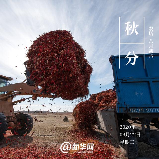 平分秋色的意思