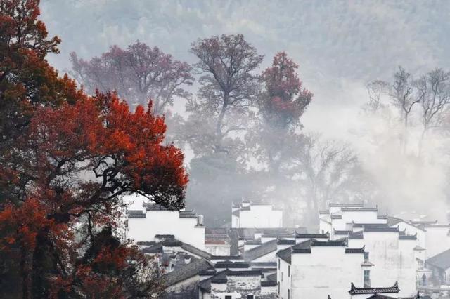 浼犺涓殑鈥滅孩鍙堕鎶モ€濓紝鐪熻兘甯︿綘鐪嬧€滄灚鈥濇櫙鍚楋紵