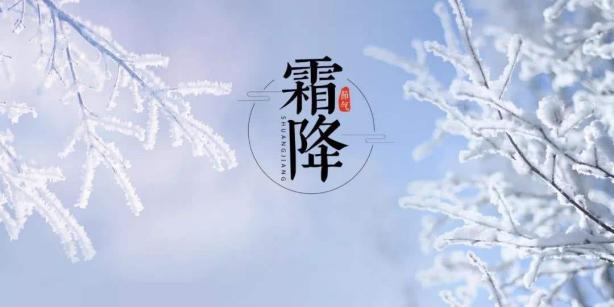 今天降霜吗「节前白酒跌」