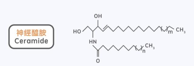 有哪些身体乳是医院研制的