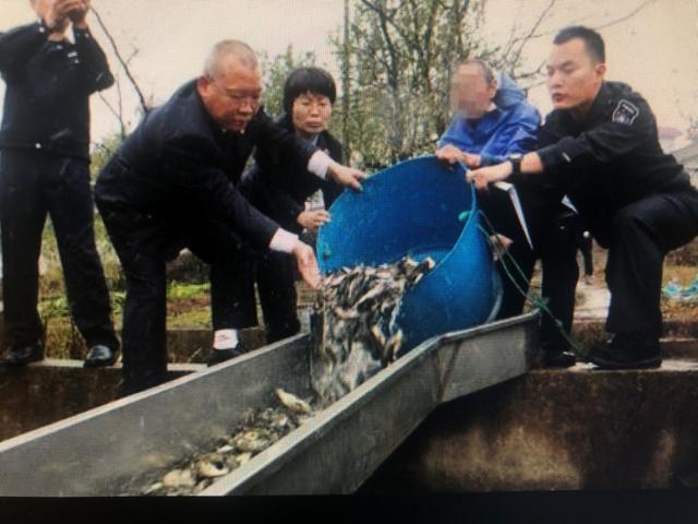 金华洗砂机出售