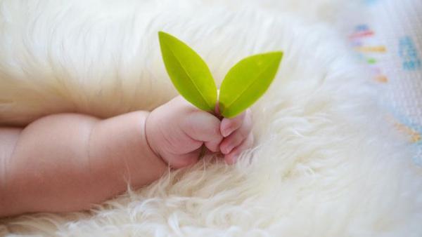 宝宝一出生就“27岁”，冷冻胚胎技术是如何做到的？