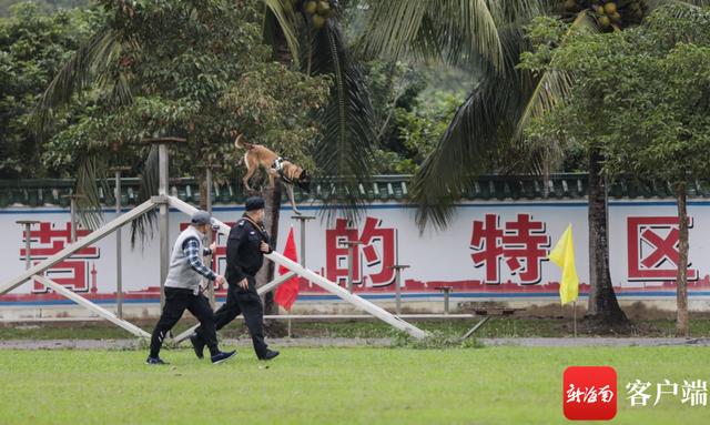 警犬图片