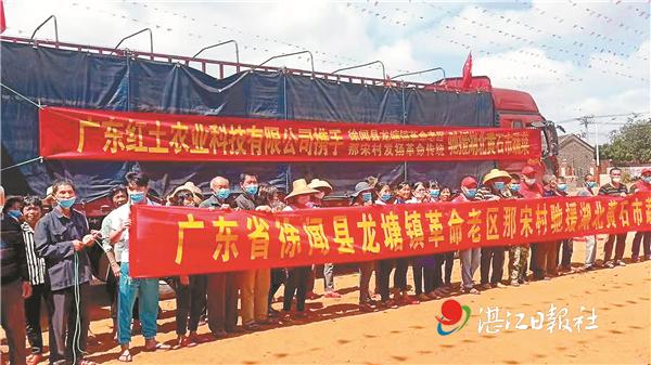 雷州程控自动超高压隔膜压滤机