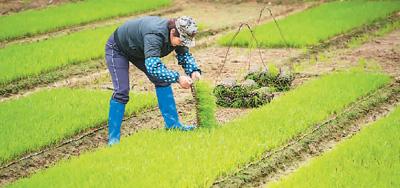 化肥农药使用量零增长目标实现