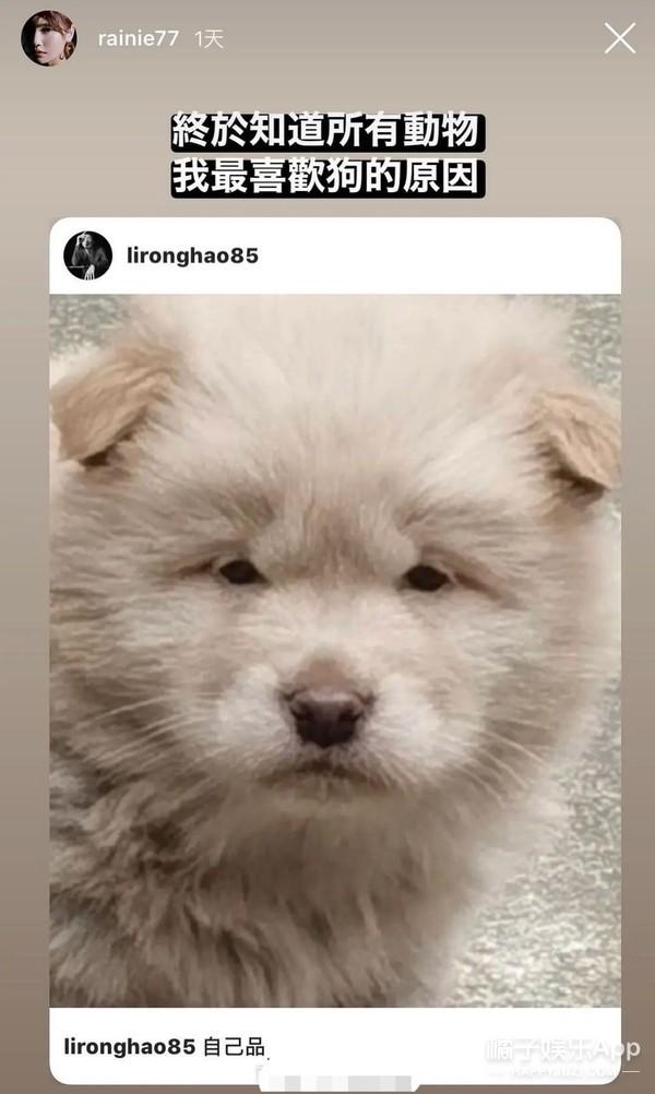 ���ٺ�2021ר��(��ة�����ٺƷָ�300�������������������Ȳ�����ֻ��������)